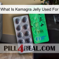 What Is Kamagra Jelly Used For new04